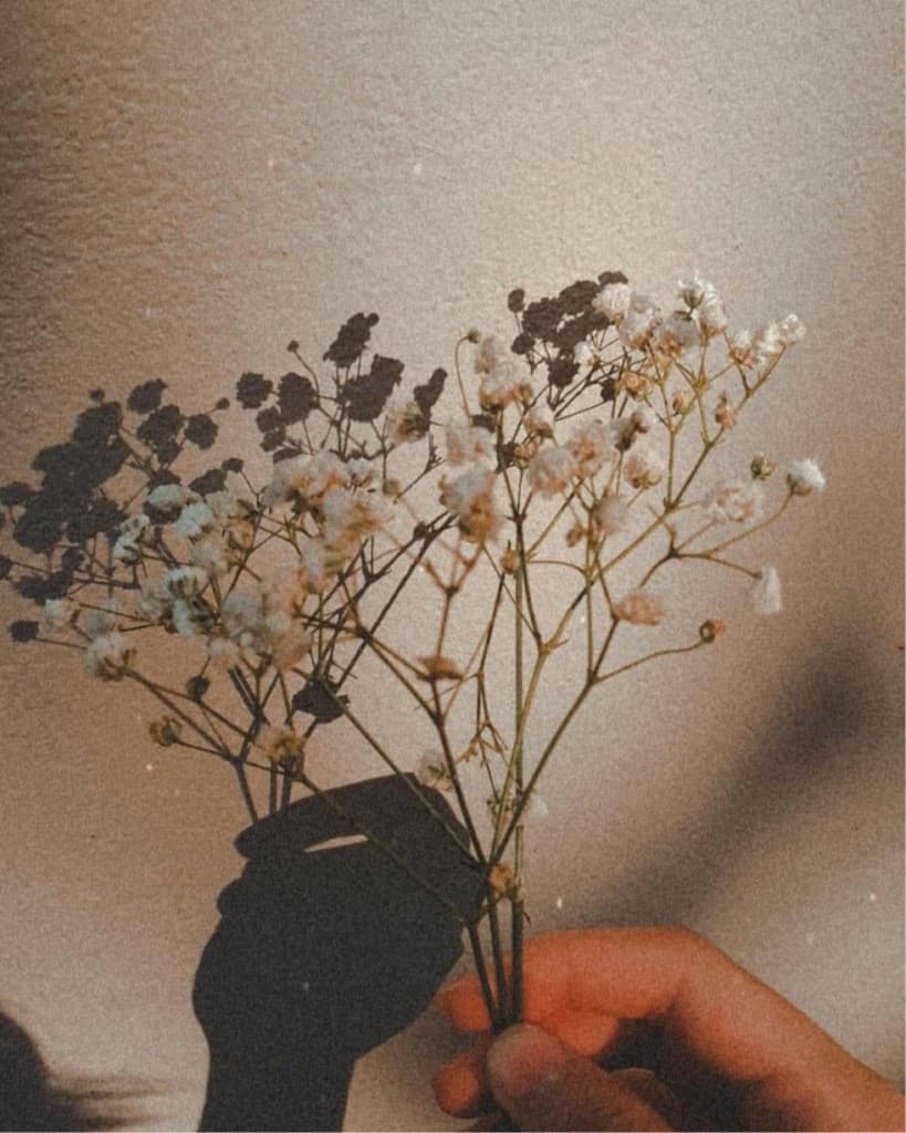Hand holding dried flowers on film
